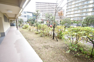 【周辺】 | 棟の周辺にはきれいにお手入れされた植栽があり、緑豊かです。