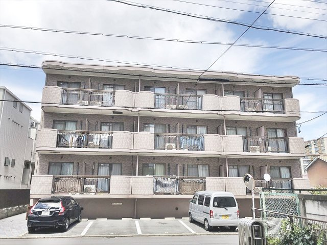 シティサンフラワー