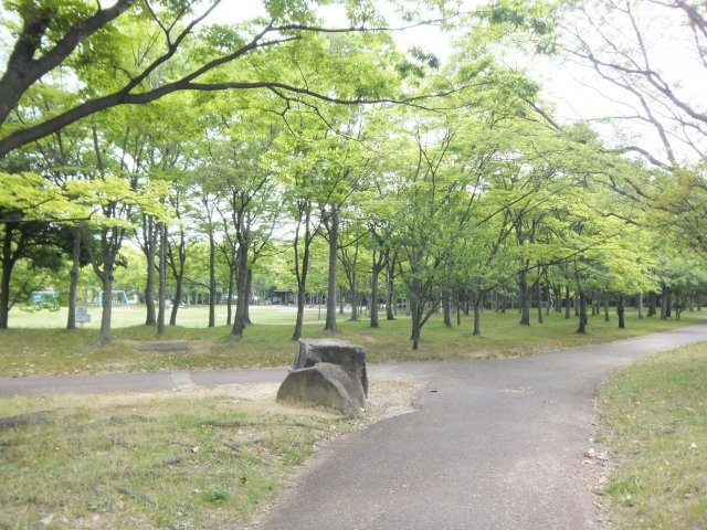 【周辺】 | ウエオ事務所2階 | 藤沢台公園