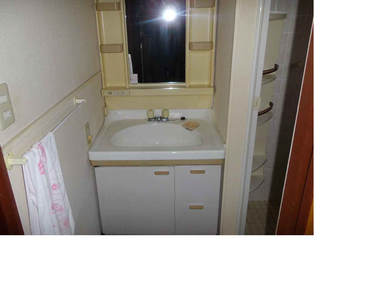 西野戸建ての洗面所