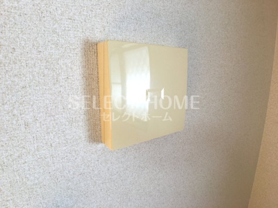  | アンプルールリーブルアメジスト