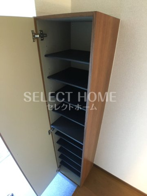  | アンプルールリーブルアメジスト