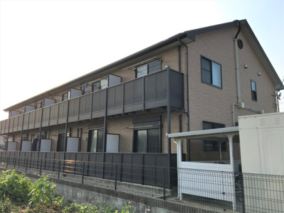  | アンプルールリーブルアメジスト