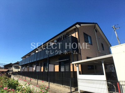  | アンプルールリーブルアメジスト