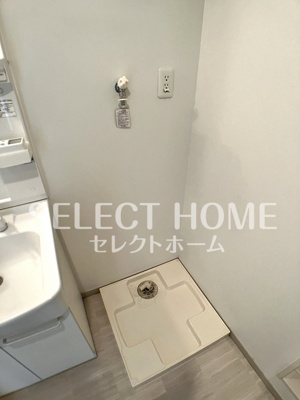 【その他】 | ナスキーⅡ