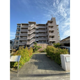 セトン旭の画像