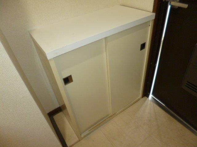 ニューマリッチ笹沖の内装|シューズボックス