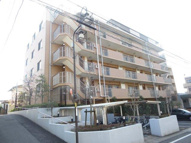 センチュリー柏の画像