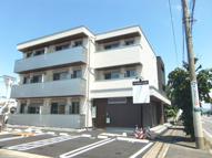 Y'sPrecious7の画像