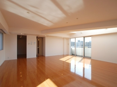 港区南麻布２丁目の賃貸マンションのその他|リビング