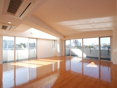 港区南麻布２丁目の賃貸マンションの居間・リビング