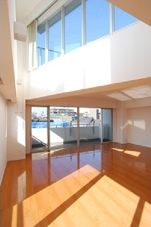 港区南麻布２丁目の賃貸マンションのその他|リビング