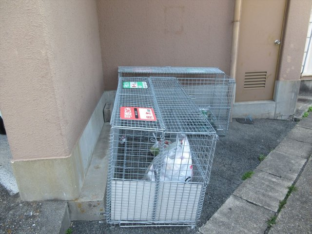 ハイツサンシャインⅡのその他共用部分|ハイツサンシャインⅡ