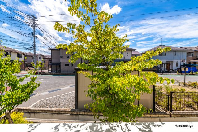 アドバンスの展望