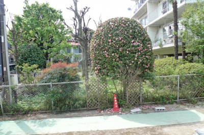 【展望】 | EXCEL COURT 渋谷幡ヶ谷