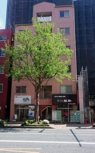 ウインザーの外観|ウインザー101