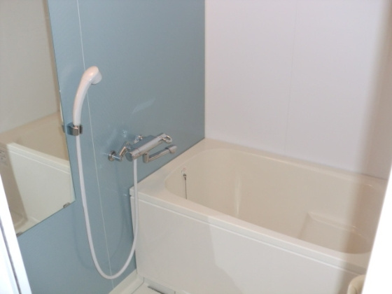 エスレジデンス難波ヴィアーレの浴室