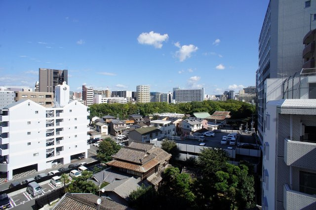 サヴォイザセントラルガーデンの展望