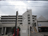 Ｍホーナー来住・の画像