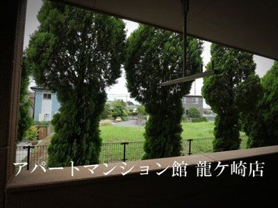 【展望】 | プラムローズ
