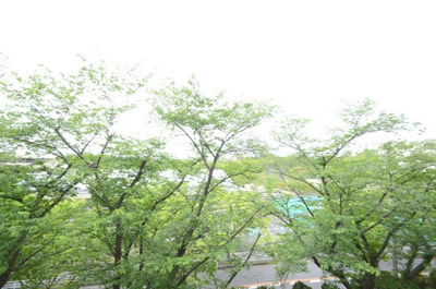 【展望】 | 公社山田西団地Ａ２棟 | バルコニーからの景色は、緑が広がっており、自然をお楽しみいただけます。