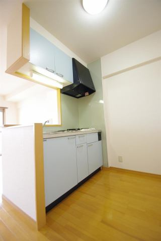 菊池郡菊陽町光の森２丁目の賃貸マンションのキッチン