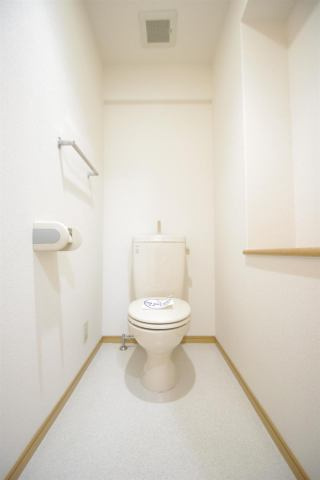 菊池郡菊陽町光の森２丁目の賃貸マンションのトイレ