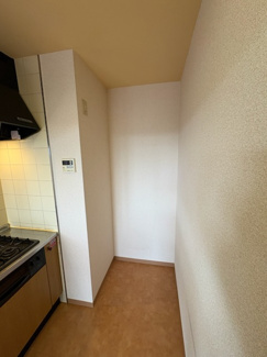 【その他】 | ルネス・デルフィー