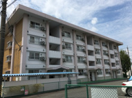 野本ハイツ駅西の画像