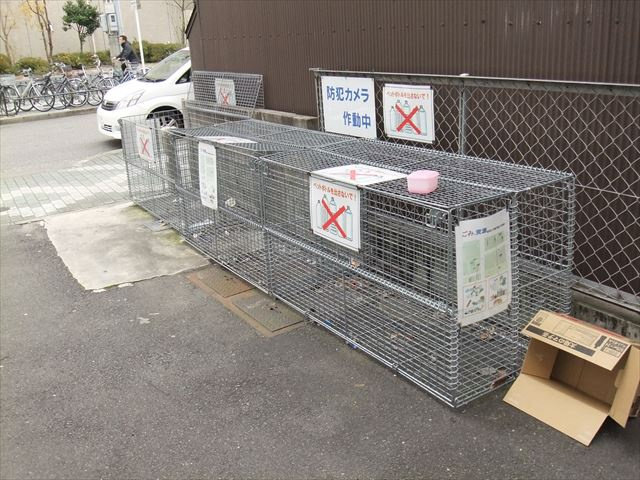 Rosa Candore｜名古屋市の賃貸ならMy賃貸のその他共用部分|Rosa Candore(ロサ・カンドーレ）