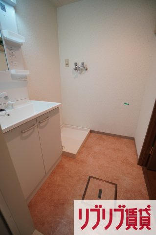 エスポワール蘇我の洗面所