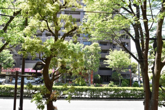 【展望】 | 物件のお問い合わせは、 ０１２０－７００－９６８までお気軽にどうぞ！
バルコニーからの眺望
