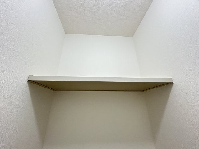グリーンビューA棟の収納