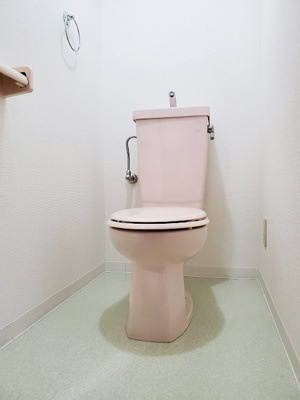 【トイレ】 | セイント・プレアーⅡ