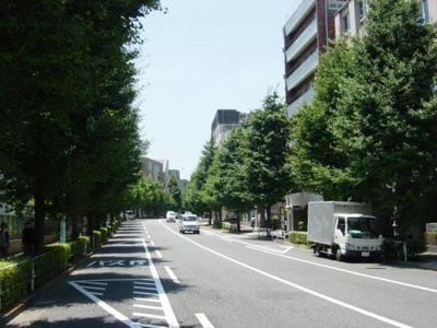 【周辺】 | コンフォリア原宿 | 前面道路