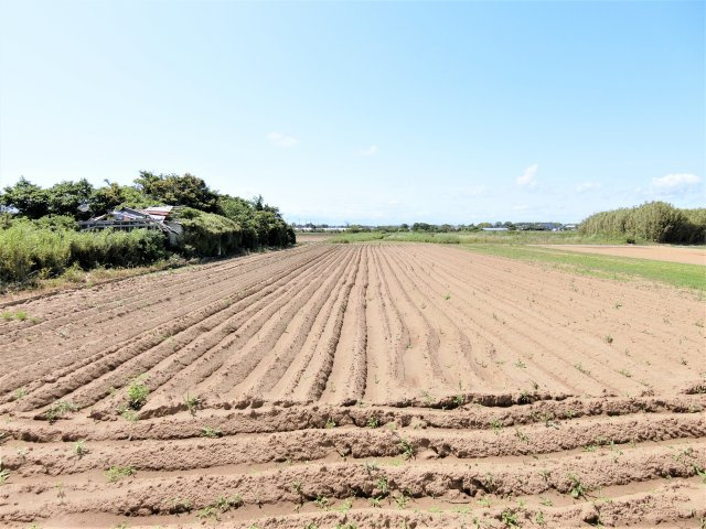 山武市井之内2966邸の展望