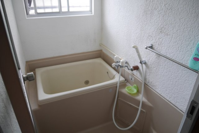 コーポ国府の浴室