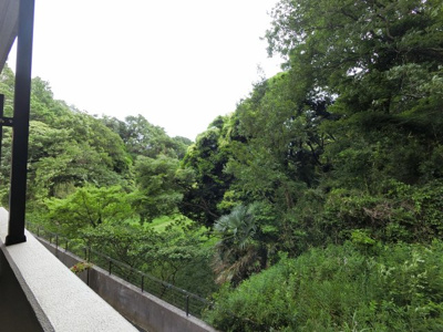【展望】 | ファミールヒルズ港南台弐番館 | バルコニーからの眺望です。