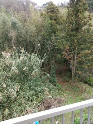 【外観】 | プレジール浜の宮