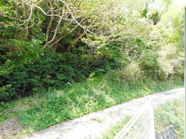 【展望】 | 高見様平家 | 景色