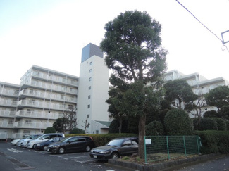 【外観】 | 5階南向き・南東角部屋につき採光・風通し良好です。
敷地内に公園があり子育て世代にオススメです。