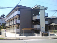 リョーヒーナの画像