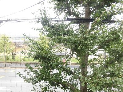 コスモプラザコマツの展望|北向き眺望