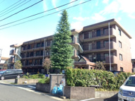 コーラルリーフの画像