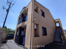 アンジェリークの画像