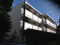 カーネリアン片倉の画像