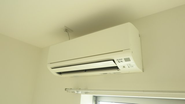 イーズのその他