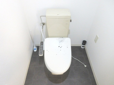 【トイレ】 | トアロード沿い事務所物件