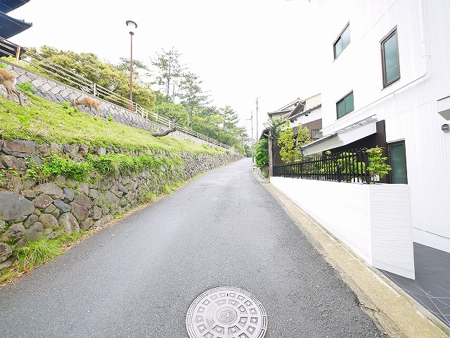 興福寺みなみの周辺