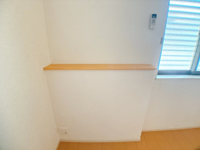プラシードⅣのその他